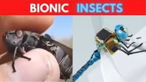 Insect Size Robots, AMAZING ROBOTIC INSECTS you must see, Future of Drone Surveillance