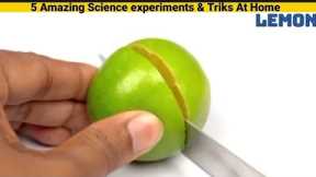 5 Amazing Science Tricks Do At Home