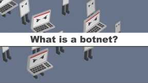 What is a botnet? When IoT devices attack