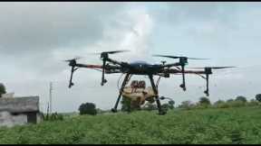 Drone use spray in cotton/ viral video/ new technology