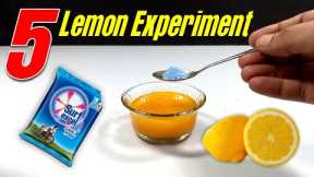 5 Amazing Lemon Tricks | Easy Science Experiments With Lemon | Amazing Science Experiments