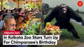 In Kolkata's Alipore Zoo Celebrities Turn Up to Celebrate 34th Birthday Of Chimpanzee