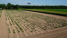 How Drones are Elevating Intelligence in Agriculture