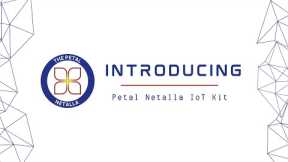 Introducing The Petal Netalla IoT Kit