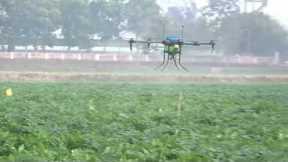 Drone Technology In Potato ICAR-CPRI