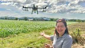 Revolutionizing Philippine Agriculture using Agricultural Drone. Agribusiness How It Works
