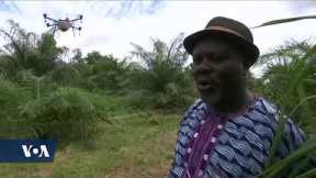 Africa Farmers Using Drone Technology