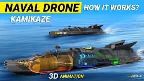 Naval Kamikaze Drone How it works Unmanned Surface Vehicle