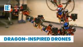 How Dragons and Insects are Inspiring Drones of the Future