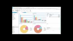 BizSight Cloud - Small Business Financial Accounting Software as a Service (SaaS)