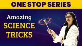 Amazing Science Tricks That Look Like Real Magic | Fun Science Experiments