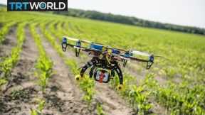 Nigerian farmers use drone technology to boost production | Money Talks