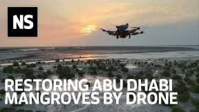 How drone technology is helping plant 100 million mangrove trees in the UAE by 2030