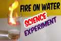 5 Simple Science Experiments and