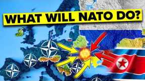 Will NATO Enter Ukraine Now That North Korea Fights for Russia?