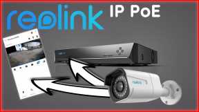 Set up the Reolink PoE camera: How to install NVR, client and app