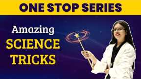 Amazing Science Tricks That Look Like Real Magic | Fun Science Experiments | 2024-25