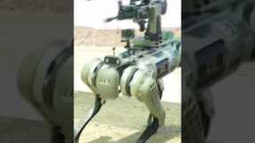 China’s military unveils robot dogs armed with rifles