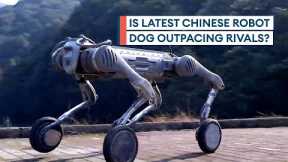 China's new Unitree B2-W robot dog boasts incredible agility and balance