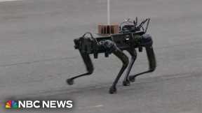 Drones and robotic dogs represent the future of the Army at military parade
