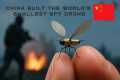 How China Built the World’s Smallest
