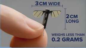 China unveils mosquito-sized drone | NewsNation Now