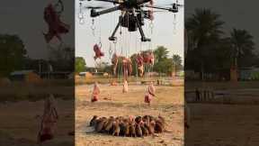 👉 Rats Captured with Drone | Amazing Agriculture Footage | Agri Climax