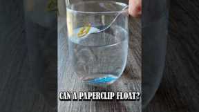 Amazing Paper Clip Floating Experiment! | Easy Science for Kids