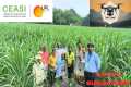 Agricultural Drone Technology: The