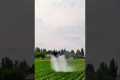Drone Technology in Agriculture