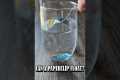 Amazing Paper Clip Floating