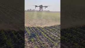Best Agriculture Spray Drone