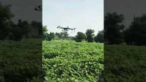 Revolution in Farming: Drone Spraying Technology in Action🚜✈️ #drone #farmtechnology #narendramodi