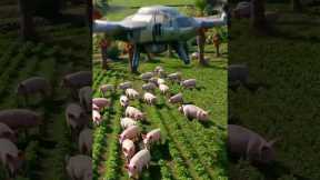 Futuristic Drone Captures Pigs with a High-Tech Net | Smart Farming Technology