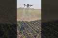 Best Agriculture Spray Drone