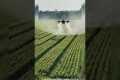 Modern Farming with Drones: Crop