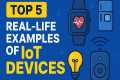  Top 5 Real-Life IoT Devices You Use