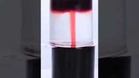 amazing science experiment | shorts | science experiment #viral #science #youtubeshorts