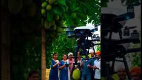 #Amazing Drone Technology Harvesting Jackfruit | Smart Farming in India#2025 #farming #automobile