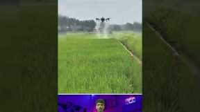 Drone revolution in agriculture! Crop protection is now easier with modern technology #viralvideo