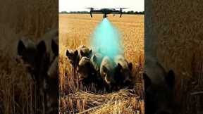 Drone Technology #villagelife#smartfarming#rurallife#farmingtraditions#farming101