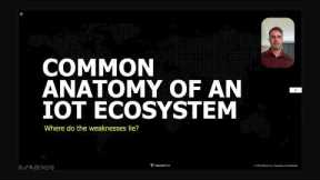 Peeling Back the Plastic: Finding 0Days in IoT Devices