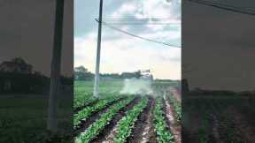Smart Agriculture Drone Spraying Machine – Precision Farming Technology Covering 8 Hectares per Hour