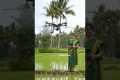 Woman Farmer Using Drone Technology | 