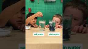 Salt-water trick | chemistry experiment at home with food coloring