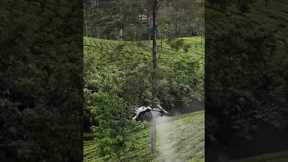 Experience the future of sustainable farming with cutting-edge drone technology!