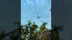 ✨ Technology meets nature 🌴| drone farming for areca  trees 😍#shorts#drone #eco #farming