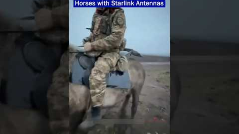 Russian Army uses Horses with Starlink Antennas Appear on the Battlefield!!