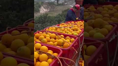 This Is Not Sci-Fi — These Drones Exist Now 😲