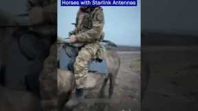 Russian Army uses Horses with Starlink Antennas Appear on the Battlefield!!